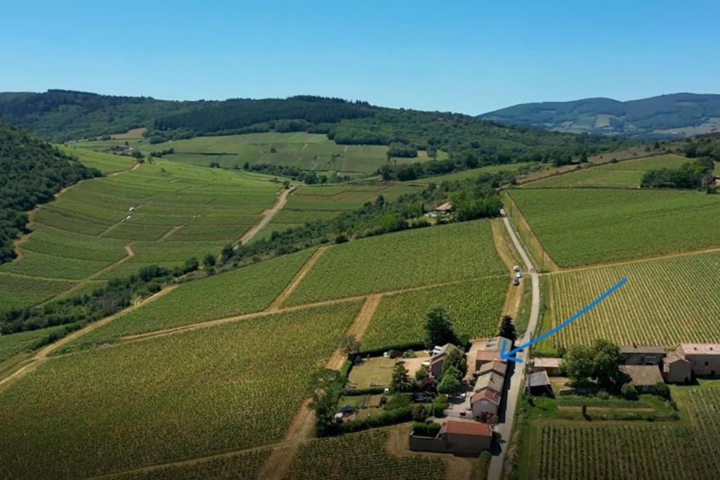 הוילה Prissé Le Tinailler Grand Standing Au Coeur Des Vignes מראה חיצוני תמונה