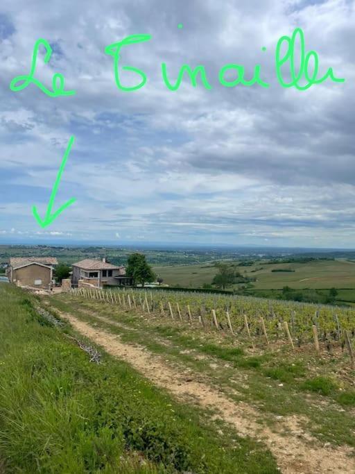 הוילה Prissé Le Tinailler Grand Standing Au Coeur Des Vignes מראה חיצוני תמונה