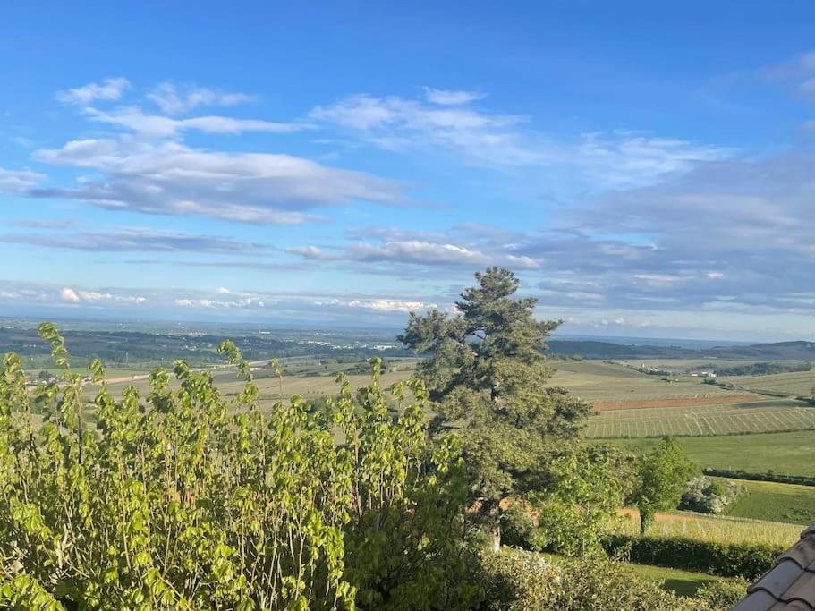 הוילה Prissé Le Tinailler Grand Standing Au Coeur Des Vignes מראה חיצוני תמונה